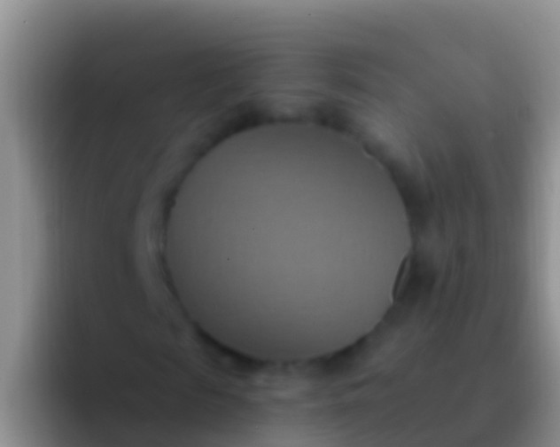 X0000092110817200709262157