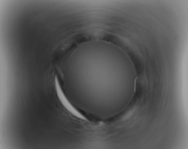 X0000092110818200709262157