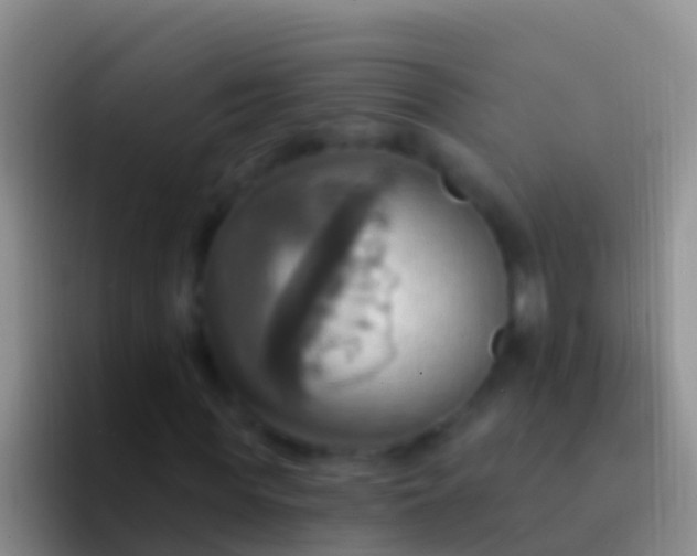 X0000092110819200709262157