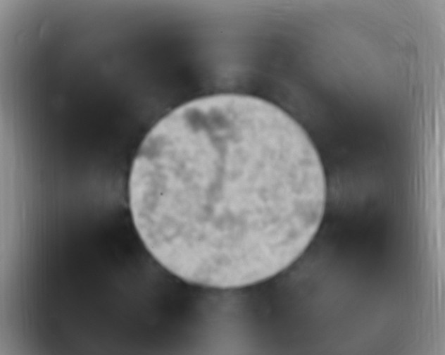 X0000092110820200709262157