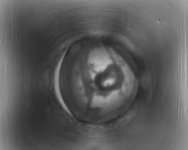 X0000092110821200709262157