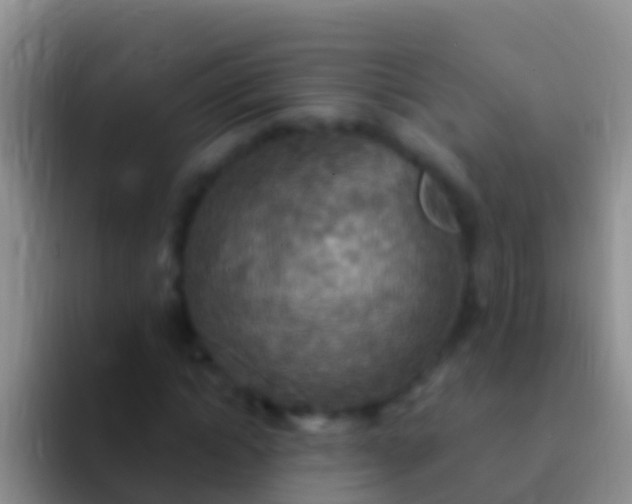 X0000092110822200709262157