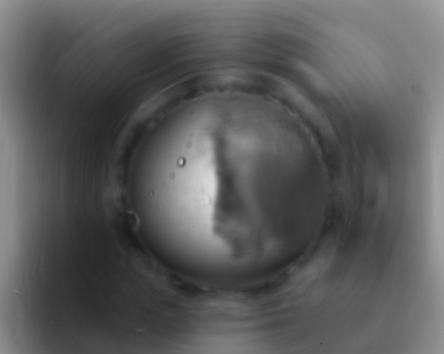 X0000092110823200709262157