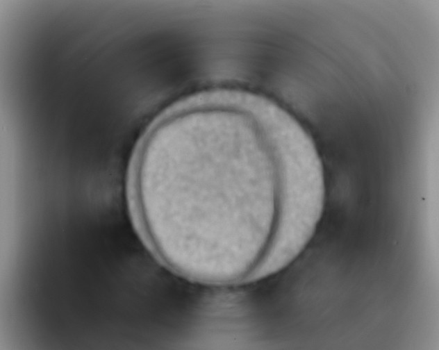 X0000092110824200709262157