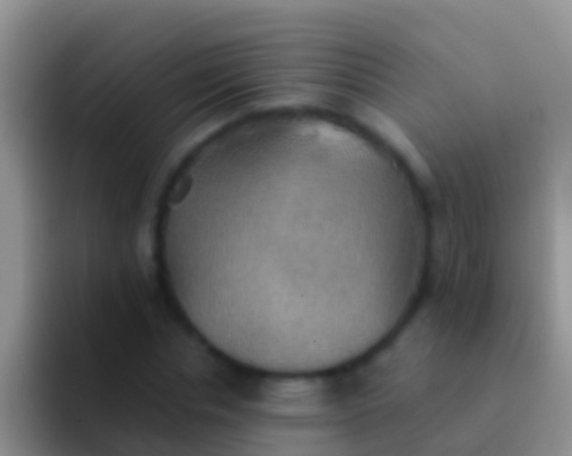 X0000092110826200709262157