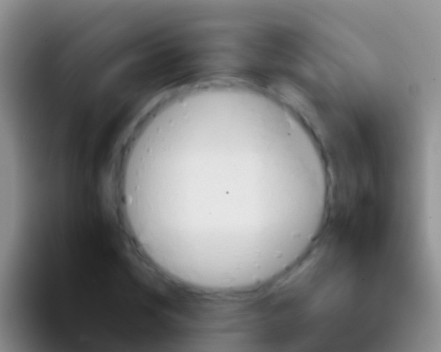 X0000092110828200709262157