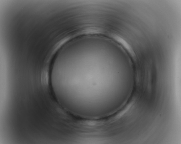 X0000092110829200709262157