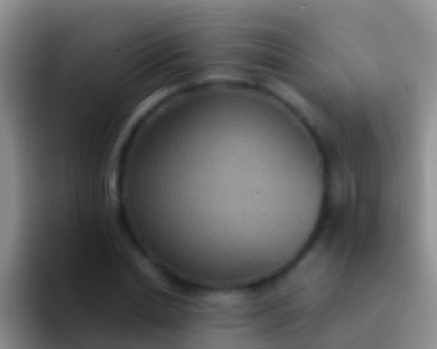 X0000092110830200709262157