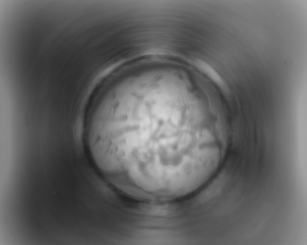 X0000092110831200709262157