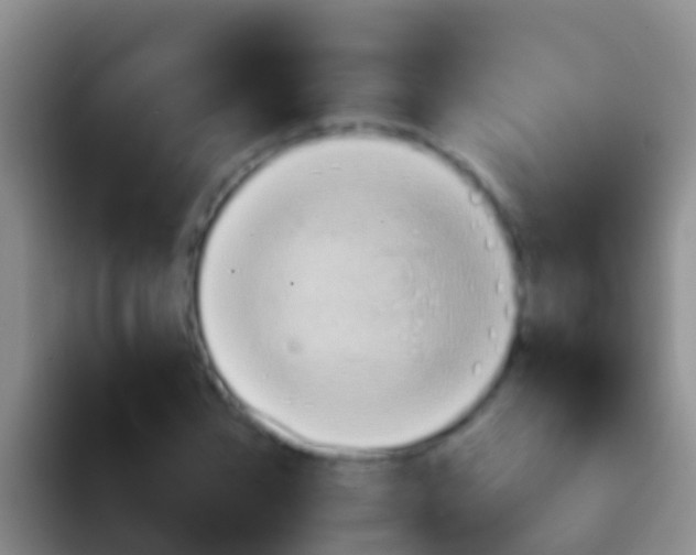 X0000092110832200709262157