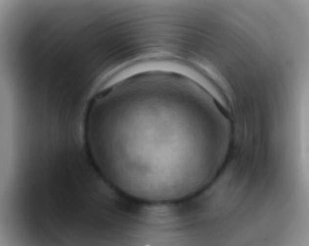 X0000092110834200709262157