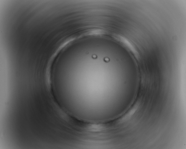 X0000092110835200709262157