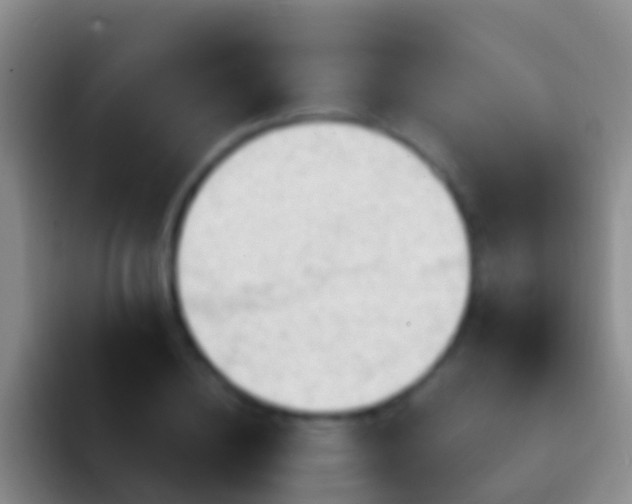 X0000092110836200709262157