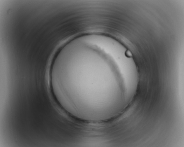 X0000092110840200709262157