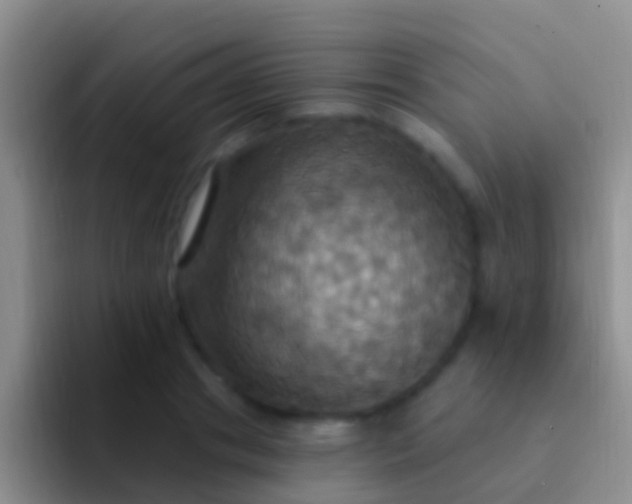 X0000092110841200709262157