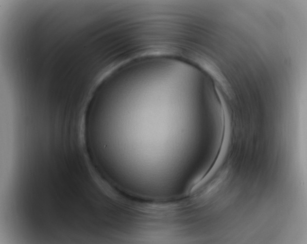 X0000092110842200709262157