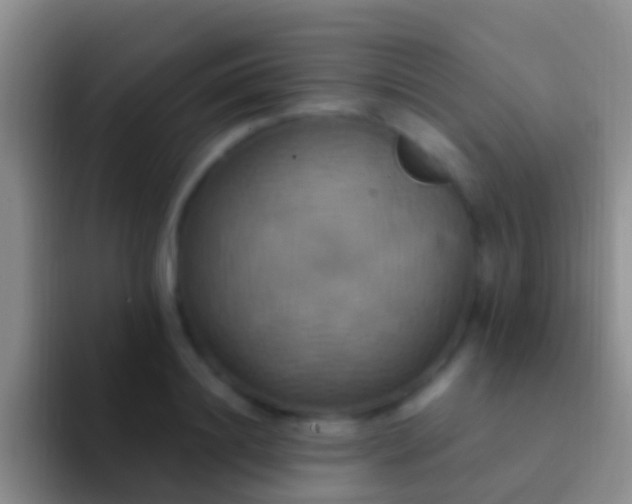 X0000092110844200709262157