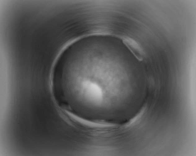 X0000092110846200709262157