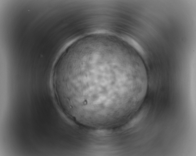 X0000092110847200709262157