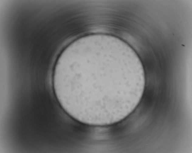 X0000092110848200709262157