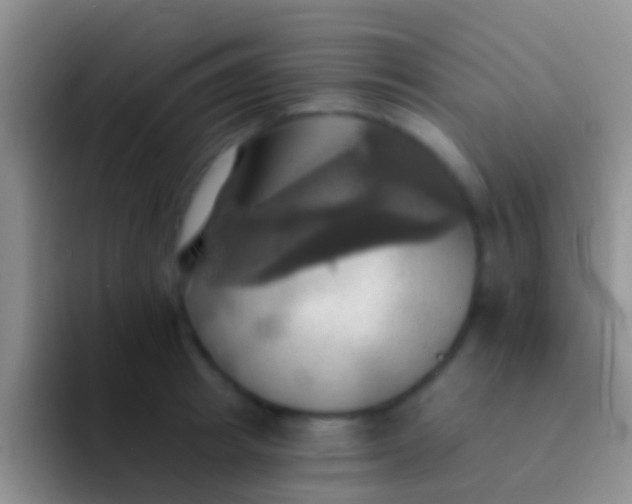 X0000092110849200709262157