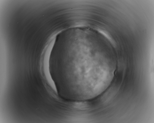 X0000092110850200709262158