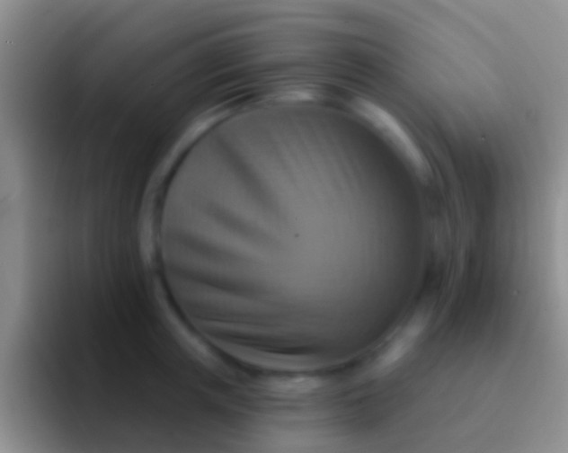 X0000092110851200709262158