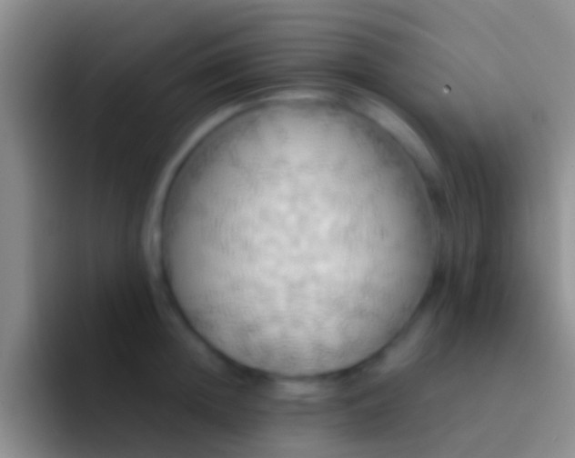 X0000092110852200709262158