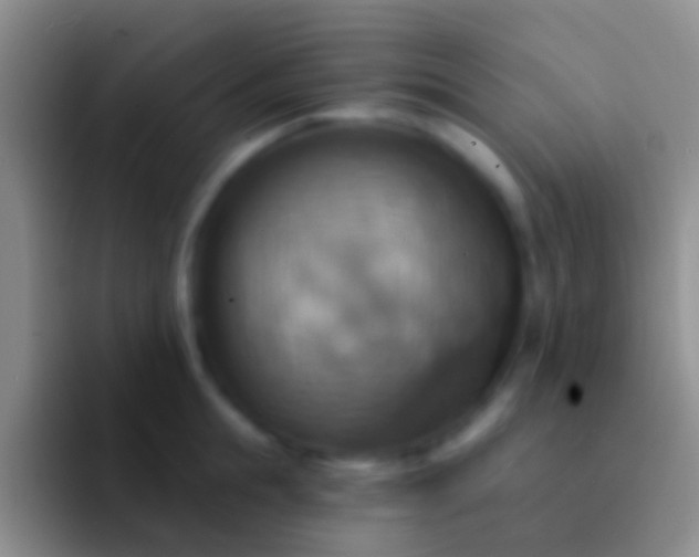 X0000092110855200709262158