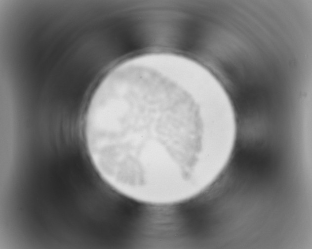 X0000092110856200709262158