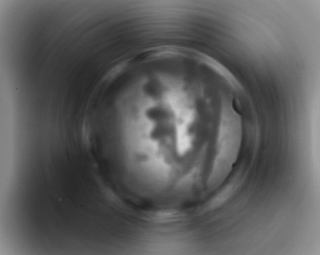 X0000092110857200709262158