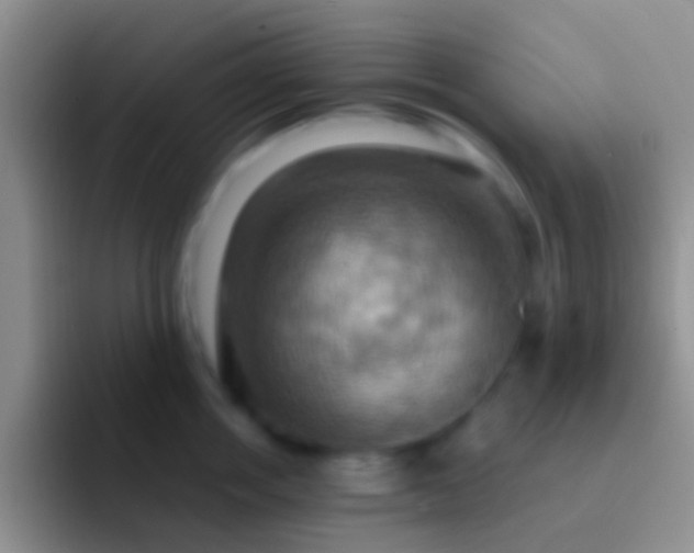 X0000092110858200709262158