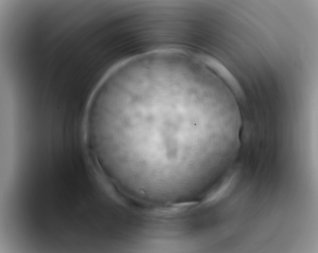 X0000092110860200709262158