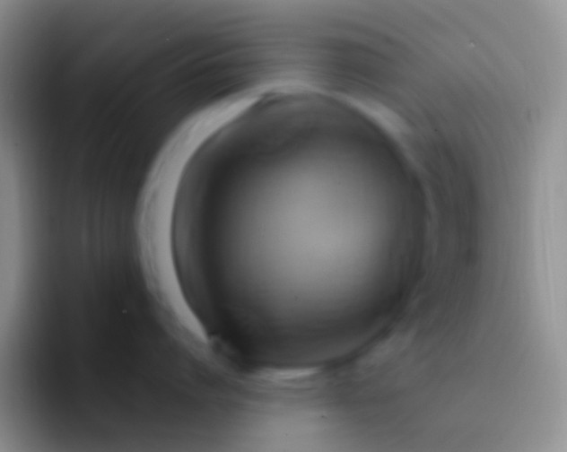 X0000092110864200709262158