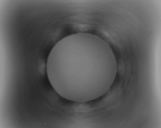 X0000092110866200709262157