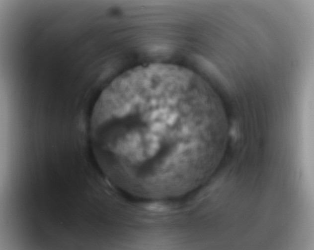 X0000092110867200709262157