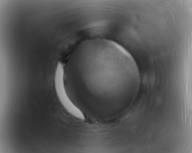 X0000092110868200709262157