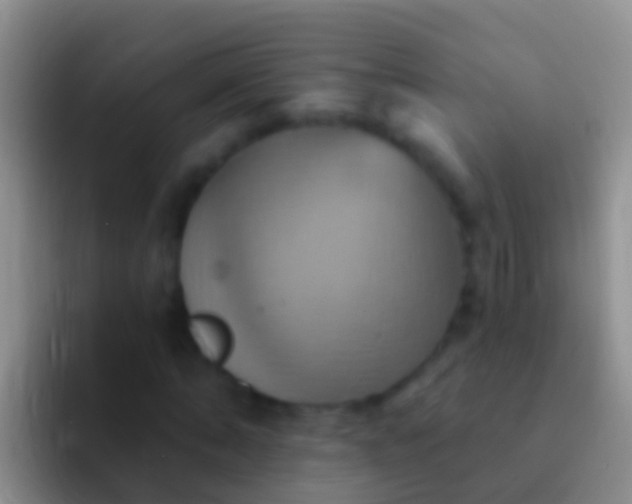 X0000092110870200709262157