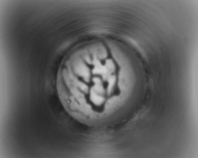 X0000092110871200709262157