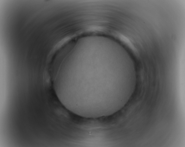 X0000092110872200709262157