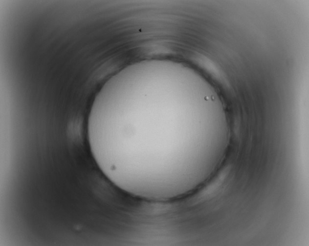 X0000092110873200709262157