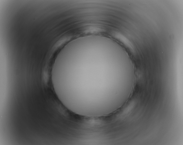 X0000092110874200709262157