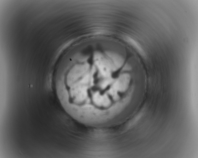 X0000092110875200709262157