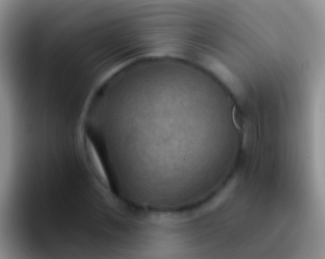 X0000092110876200709262157