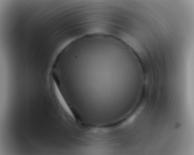 X0000092110877200709262157