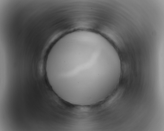 X0000092110878200709262157