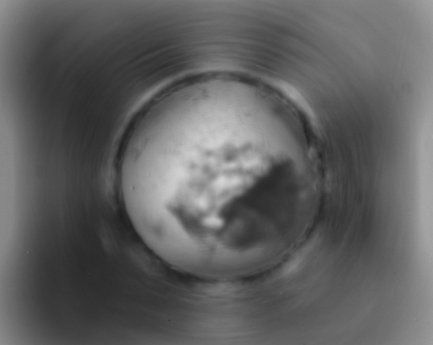 X0000092110879200709262157