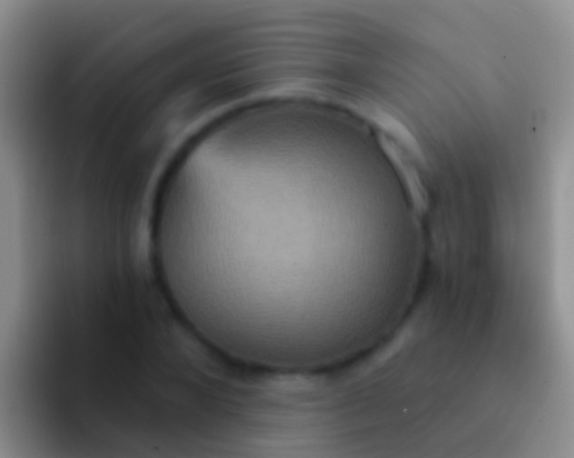 X0000092110880200709262157