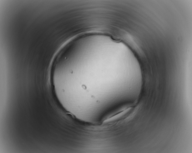 X0000092110884200709262157