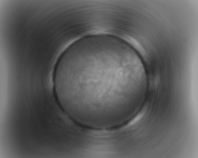 X0000092110885200709262157